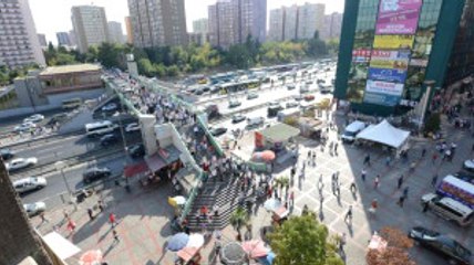 İstanbul'da Şirinevler Meydanı'nı Arılar Bastı