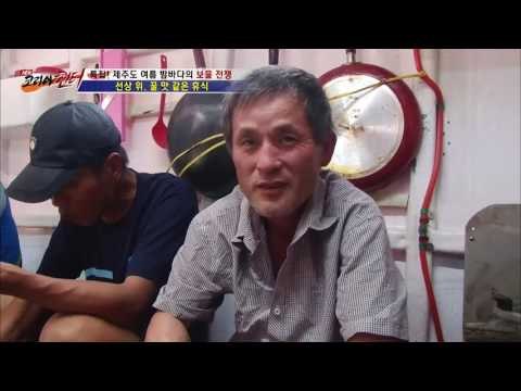 화려한 은갈치 요리들! 환상적인 비주얼! [뉴 코리아 헌터] 7회 20160721