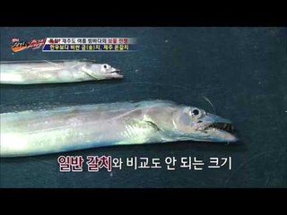 역대급 크기 대갈치! 일반 갈치의 3배! [뉴 코리아 헌터] 7회 20160721