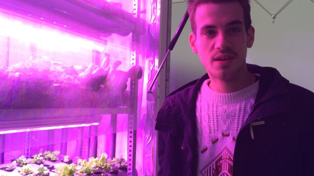 Ce Rennais cultive ses salades sans terre ni soleil