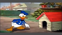 Donald Duck With Chip n Dale and Donald Nephews Cartoons Episodes New Collection # 10_Watch tv series 2017