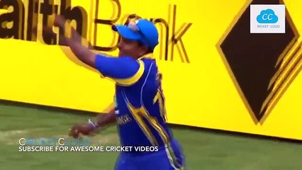 Best Catches in Cricket History! Best Acrobatic Catches