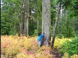 Bill Nye The Science Guy S3E10