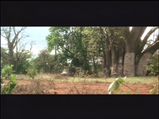 Africa Express (1975) 1/2