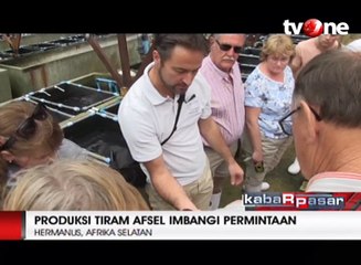 Afrika Selatan Penghasil Tiram Terbesar Ketiga