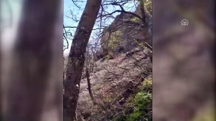 O haniler böyle teslim oldu