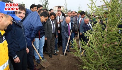 (3 MAYIS 2017) KOCASİNAN’DA AĞAÇLANDIRMA,  REKORA YÜRÜYOR