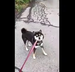 핸드폰 소액 결제 한도,핸드폰 소액 결제 수수료, 휴대편결제 한도변경, 휴대폰결제 한도증액,휴대폰 소액결제 한도변경,다날소액 결제,모빌리언스,010↔5516↔2370 카톡:bmw2370 업체명:일성캐시