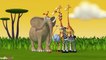 Gazoon _ Firelies _ Funny Animals Cartoons Collection For Children by HooplaKidzTV_Watch tv series
