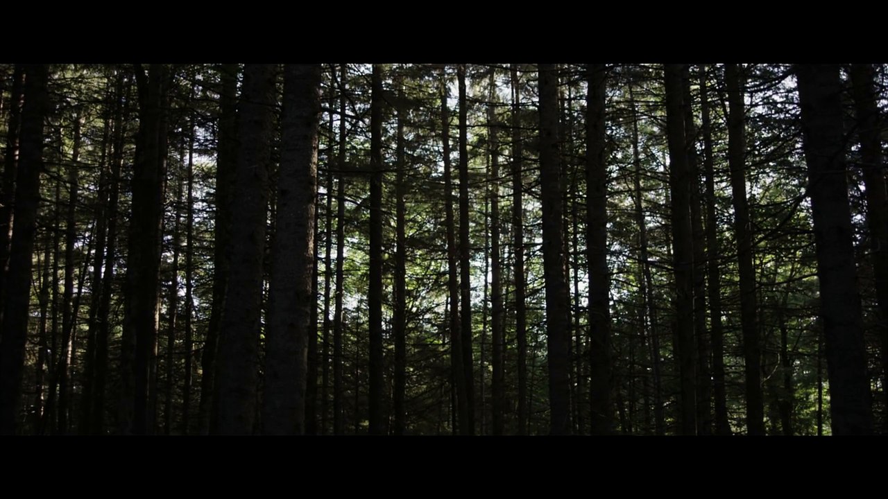 Here Alone (2016) Fragman
