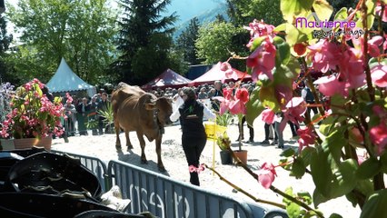 Maurienne Reportage # 82 Comice Agricole de Maurienne