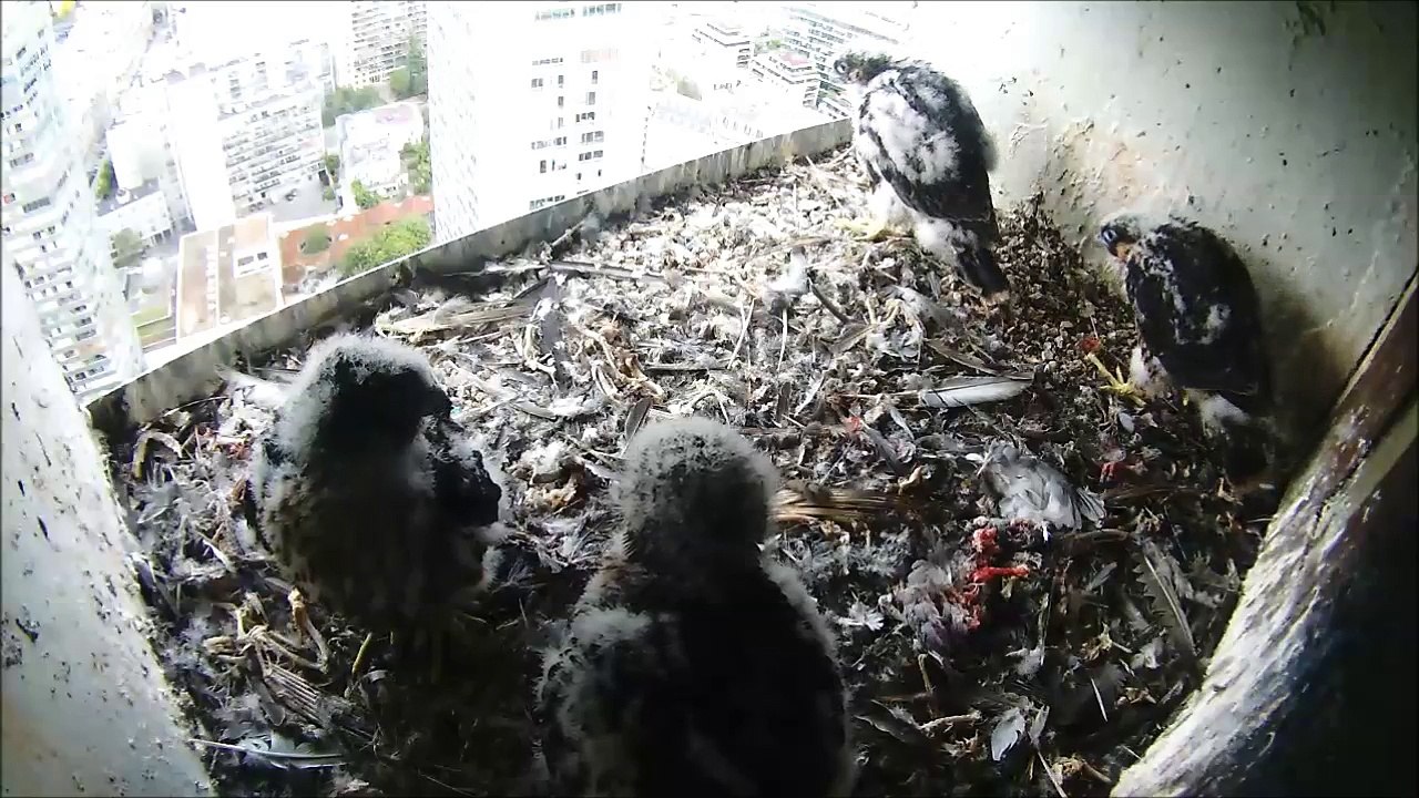 Séance de musculation