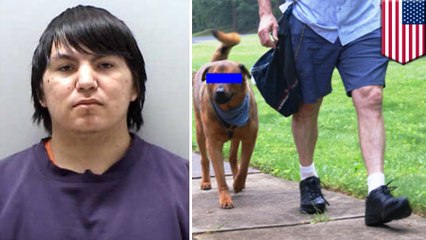 우편배달부 왜 이렇게 안나와? 알고보니 남의 집 애완견과 달콤한 시간