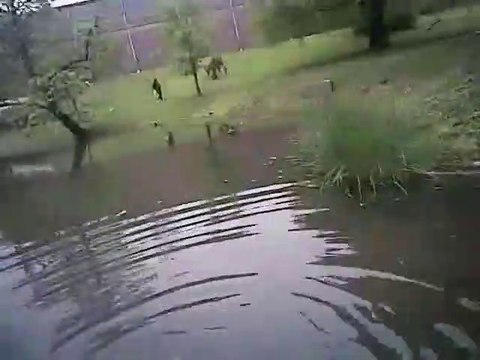 Ce policier sauve un jeune autiste tombé à l'eau