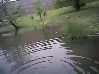 Ce policier sauve un jeune autiste tombé à l'eau