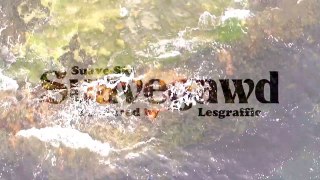 Suave-Ski Suavegawd (official video)
