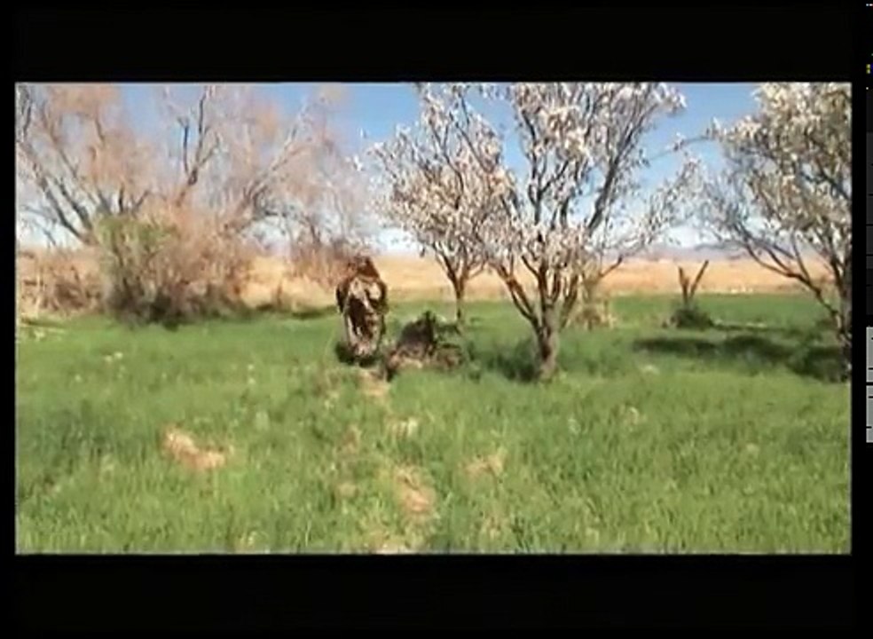 Elijah Full Movie In Urdu/Hindi  Part-3
