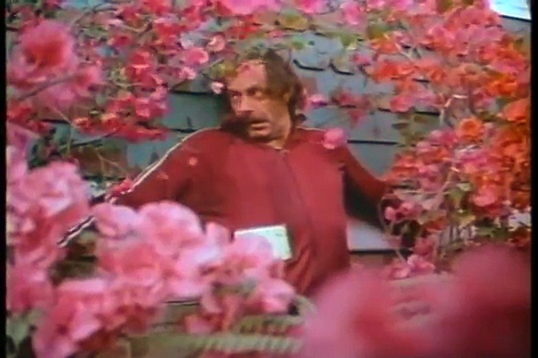 Bliss Trailer 1985