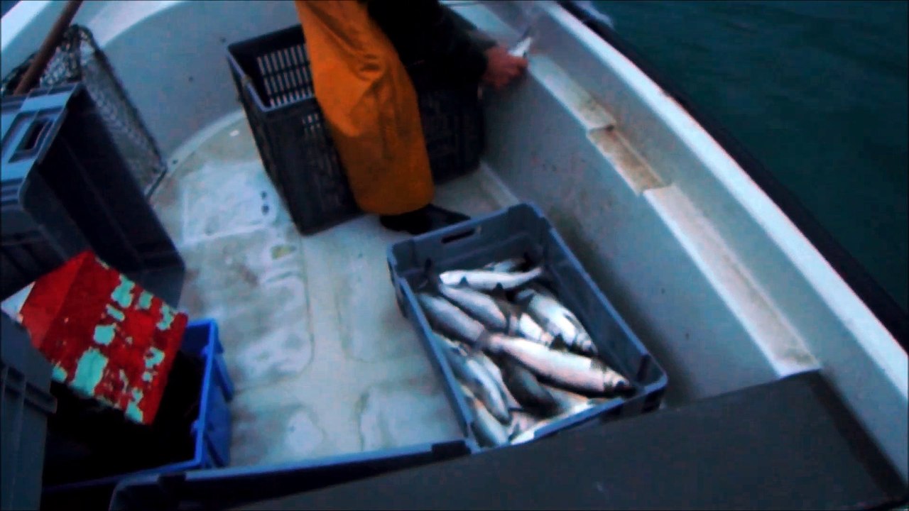 Une matinée de pêche sur le lac d'Annecy