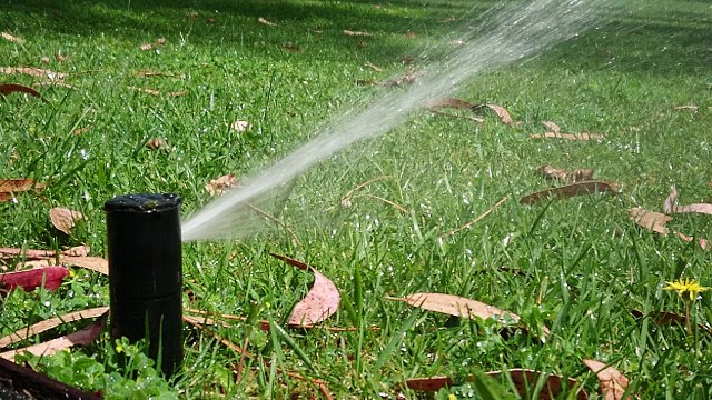 Cámara super-lenta del Sony Xperia XZ Premium - 960 fotogramas por segundo