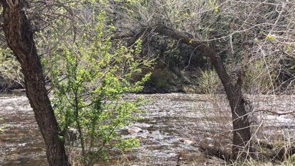 AF 낙태상담[낙태수술 wwee338899@gmail.com ~메일로 문의하세요.] 임신상담