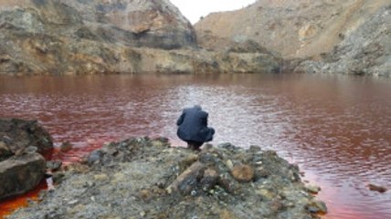 Bu Görüntü Bilim Adamlarını Harekete Geçirdi