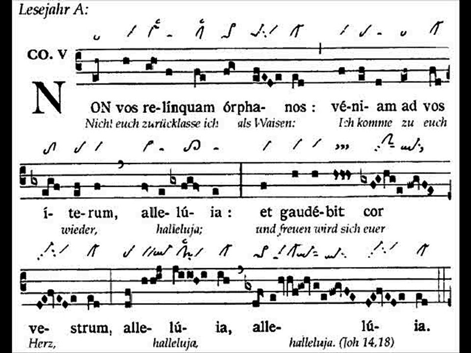 Communio Non vos relinquam, Dominica VI paschae (6 TP)