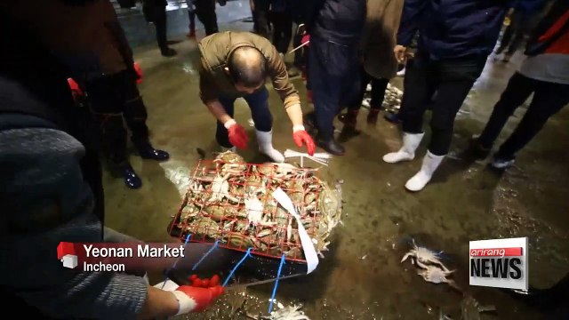 Korean Coast Guard unit that targets illegal fishing has already helped boost crab catch
