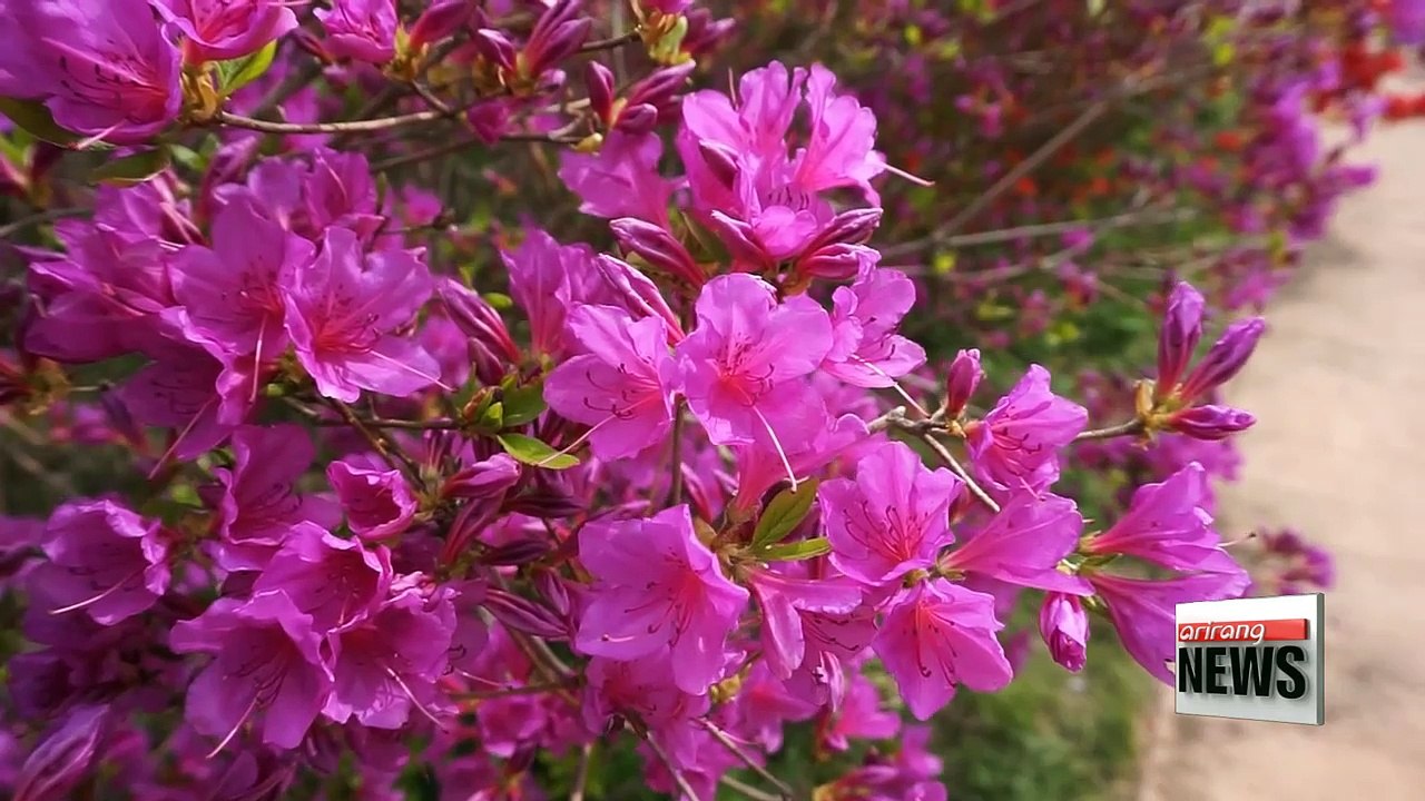 Tourist attractions open for Spring Travel Week through May 14