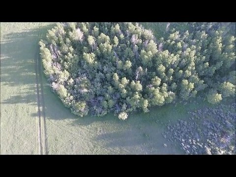 Did this drone cam just capture a Bigfoot sighting?!