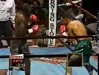 Mark Johnson vs Luis Rolon (26-07-1998) Full Fight
