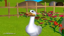Five Little Ducks went out one day - 3D Animation English Nursery Rhymes for Children