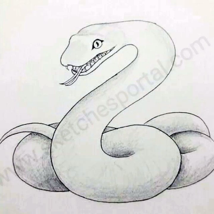 Simple Snake Drawing