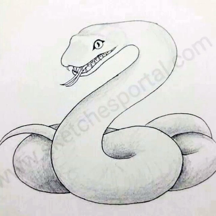 easy drawings of snakes