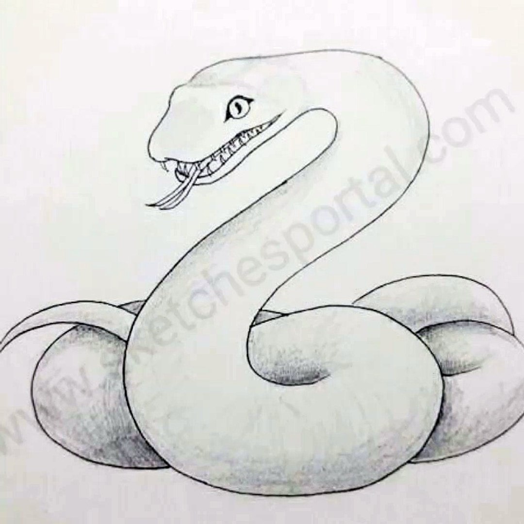 Featured image of post Snake Face Drawing Simple 1440 x 1080 jpeg 365