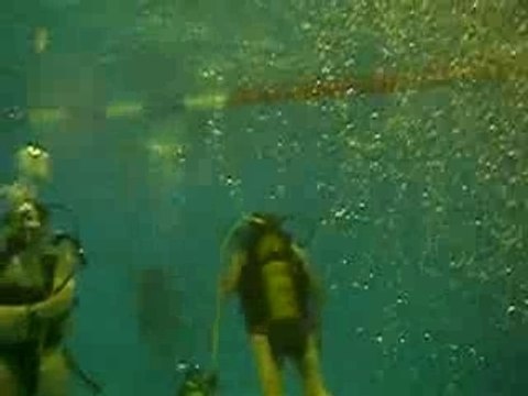 1er cours de plongée n2