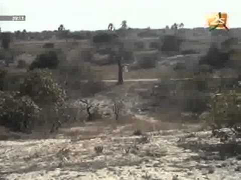 Diambereng menacé par l'avancée de la mer Jt Francais -11 Mai 2012