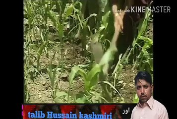 gadhi teshan gahi huhi hai by