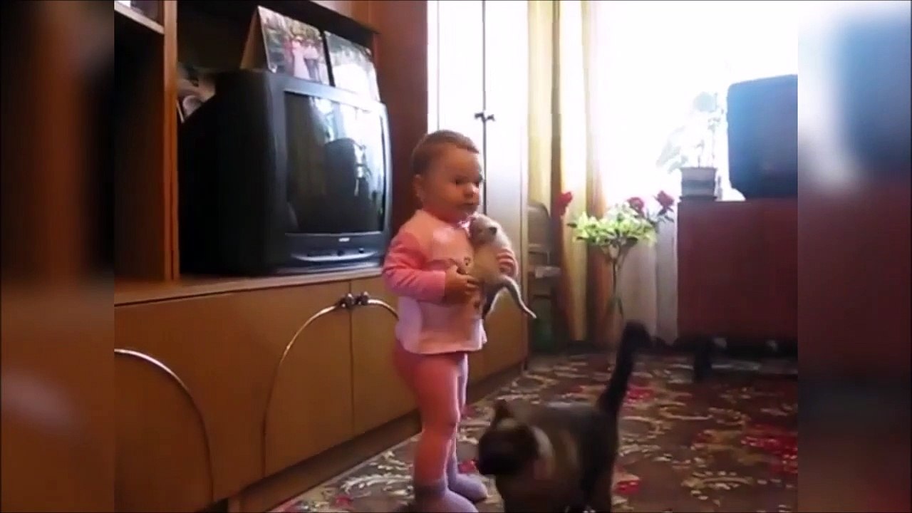 Quand un chat veut récupérer son chaton des mains d'un bébé