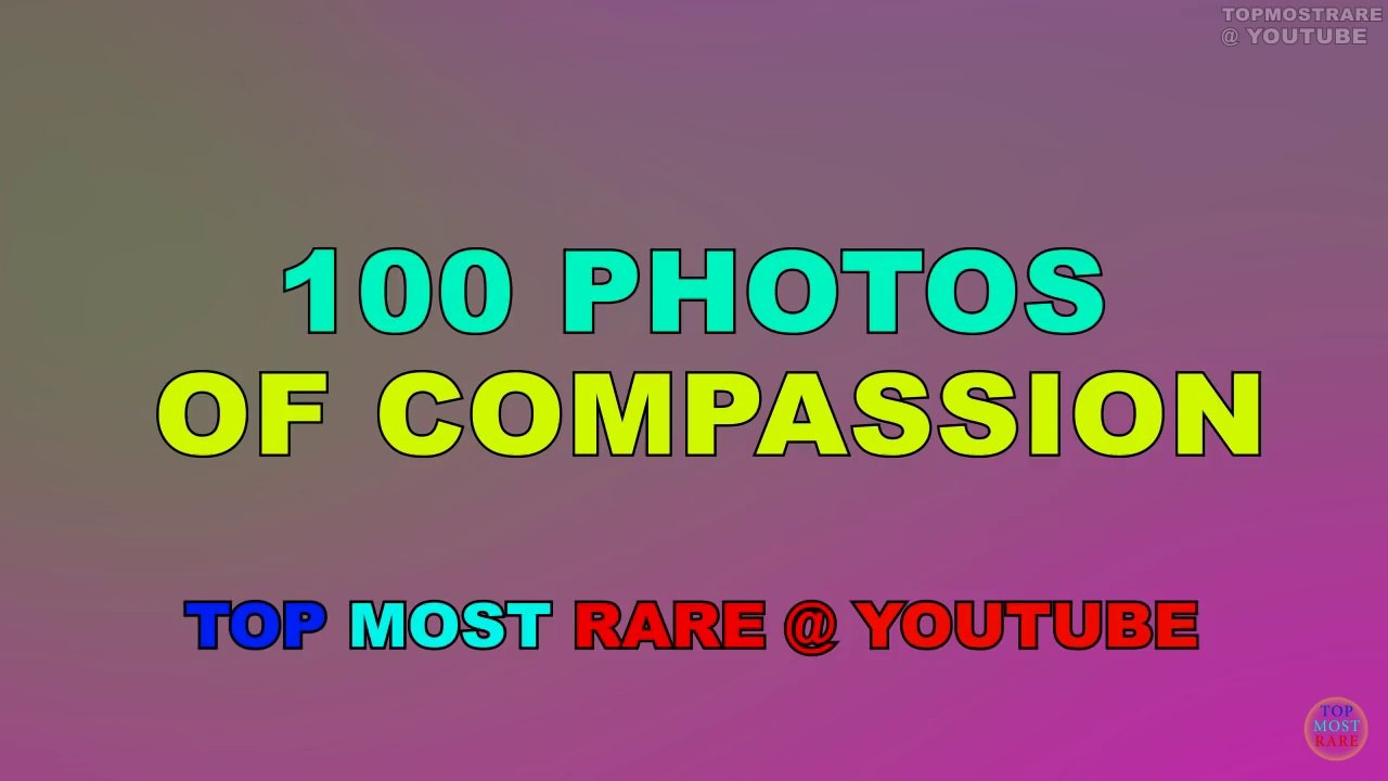 100 Moments That Will Restore Your Faith In Humanity