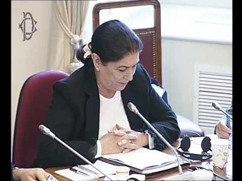 Roma - Tutela diritti minoranze, audizione EuromedRights (03.05.17)