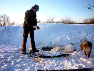 Зимний промысел бобра (часть 2)