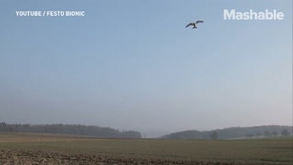 These flying robots will soothe your workday blues