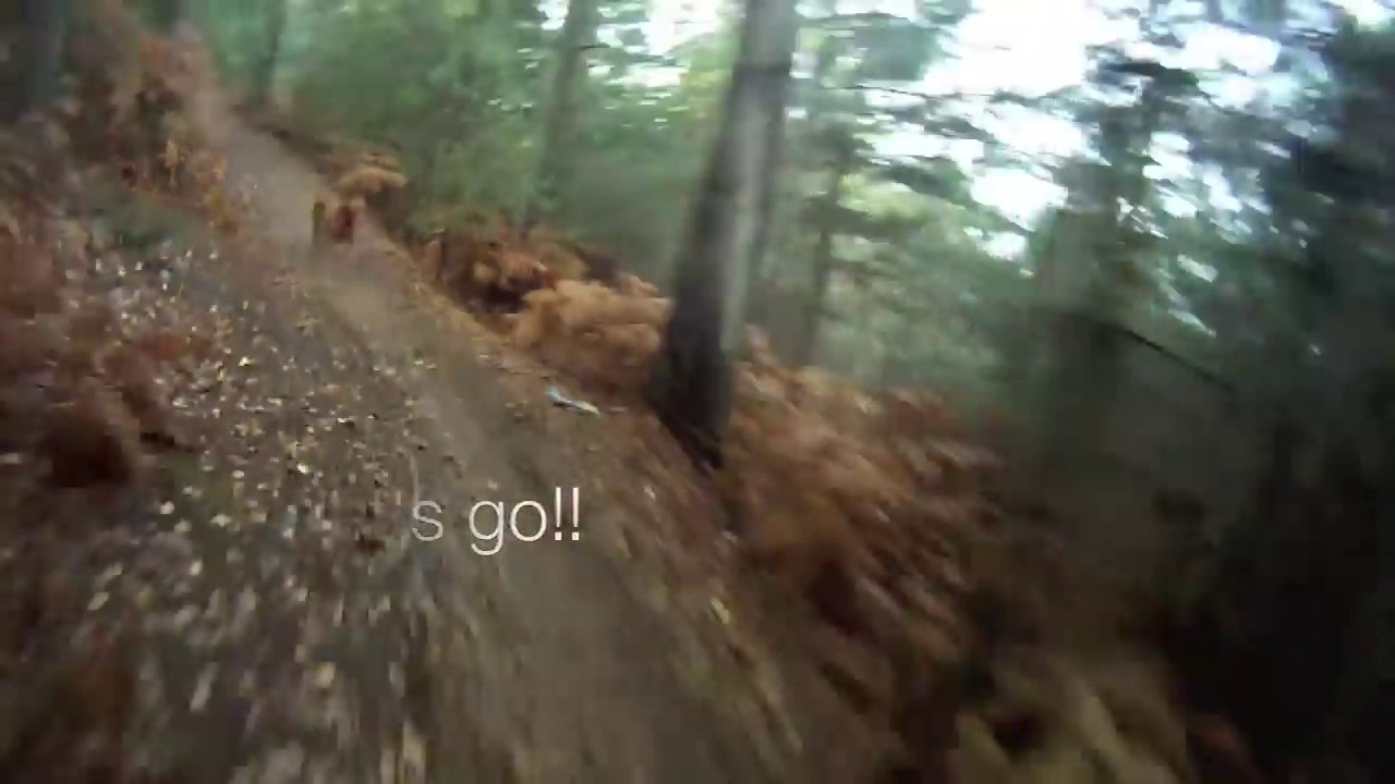 Ce chien court à la vitesse d'un VTT en descente !!