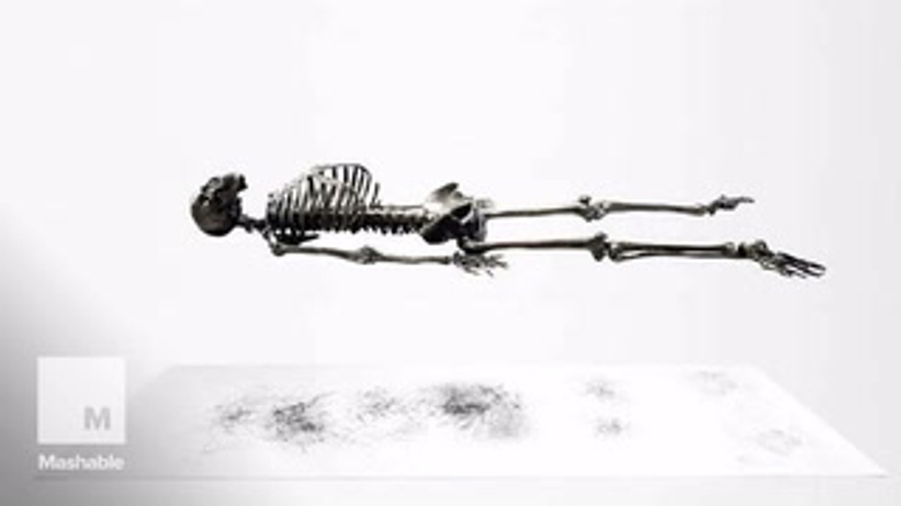 This graphite skeleton is literally drawing itself to death