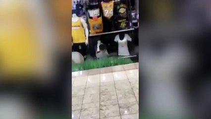 Estas turistas alucinan con un niño que besa a un maniquí