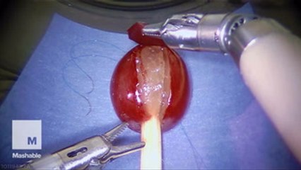 Super precise robot can stitch a grape's skin back together