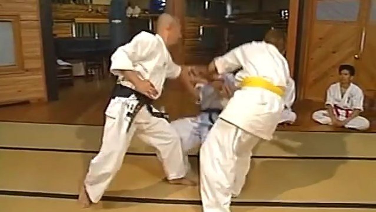 達人の合気を比較 田村信喜 伊藤真一 日野晃 [Aiki comparison]