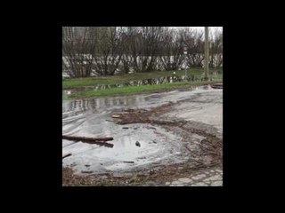 Downtown Ottawa Flooding After Heavy Downpour