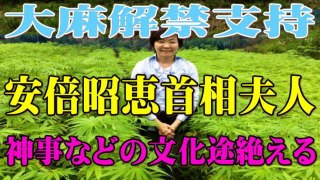 【大麻】安倍昭恵首相夫人「神事などの文化途絶える」と大麻解禁支持